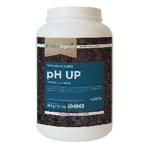BlueSky Organics - pH Up Natural Adjuster - 1Kg