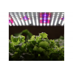 Root Farm All Purpose LED Grow Light