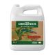 Iguana Juice Organic Bloom - 4L