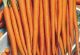 Carrots - Tenderlong Imperator - McKenzie Seeds
