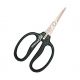 Chikamasa B-500SKF Anti Bacterial