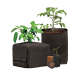 Botanicare CocoPro™ Bag #3 – Fabric Grow Bag (~2.4 gal