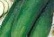 Cucumber - Straight Eight - McKenzie Seeds