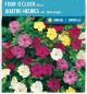 McKenzie Four O'Clock Seeds, Mixed Colors