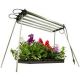 Jump Start Modular T5 Light System 4ft