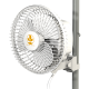 Monkey Fan - Secret Jardin