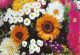 Flower Garden - Old Fashioned McKenzie Seeds