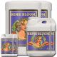 Sensi Bloom A+B