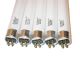 SunBlaster T5HO Replacement Bulbs