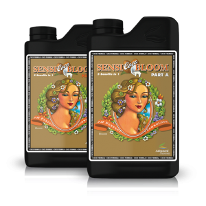 Sensi Coco Bloom A & B